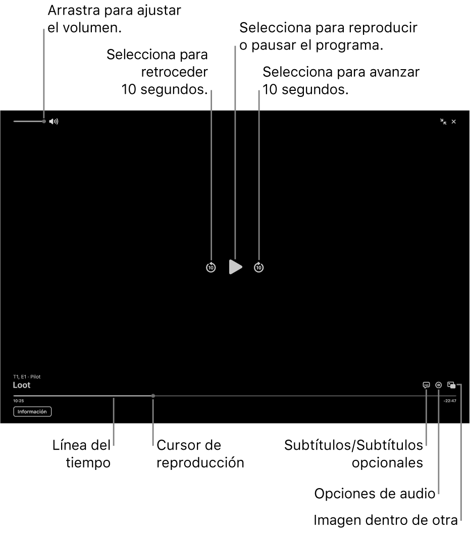 Los controles de reproducción en el visor, incluyendo los botones para reproducir y pausar, avanzar y retroceder, y ajustar el volumen.