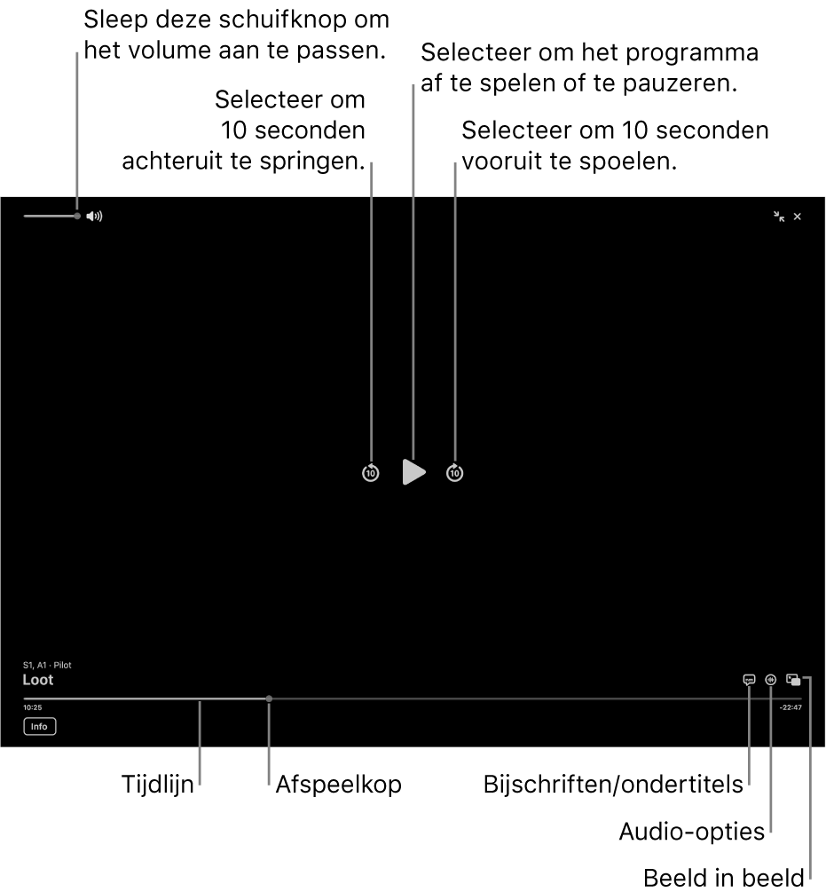 Afspeelregelaars in het weergavevenster, waaronder knoppen om af te spelen of te pauzeren, vooruit of achteruit te springen en het volume aan te passen.