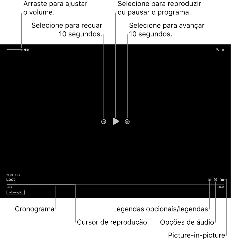 Controlos de reprodução no visualizador, incluindo botões reproduzir, pausar, avançar ou retroceder, e ajustar o volume.