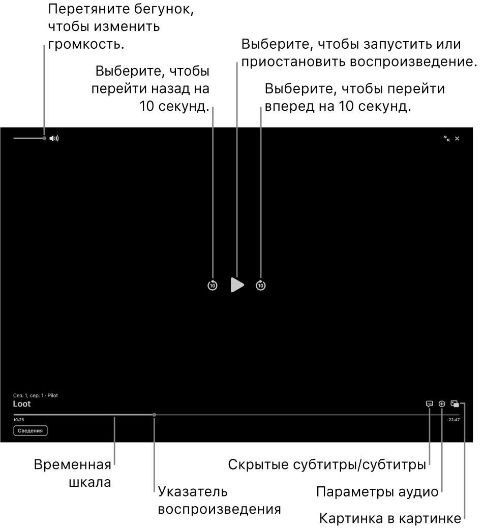 Элементы управления воспроизведением в окне просмотра, в том числе кнопки воспроизведения, паузы, перемотки вперед и назад, а также настройки громкости.