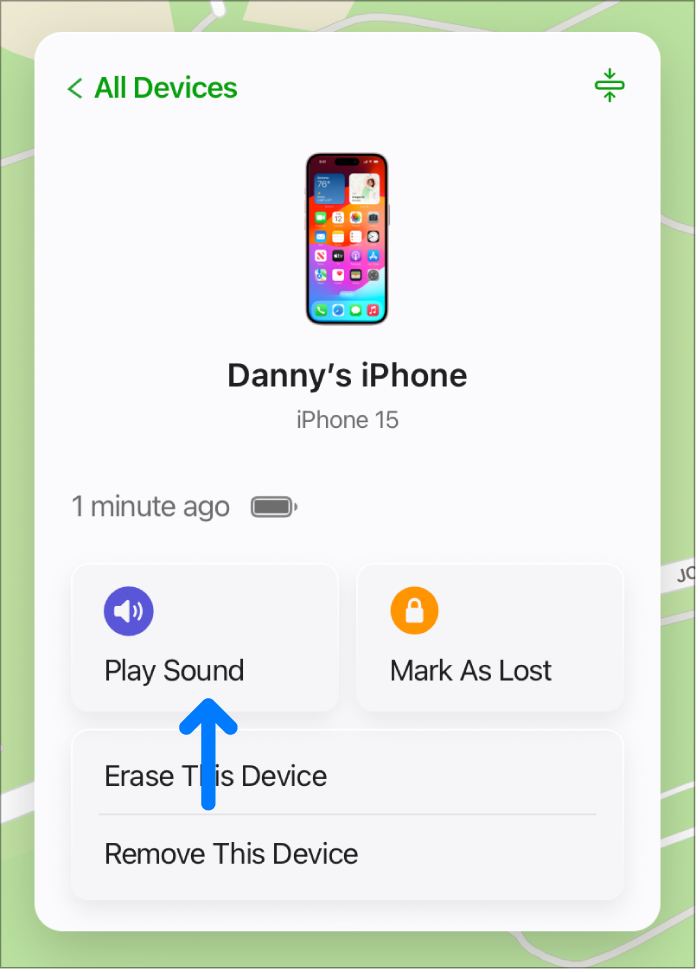 The Play Sound button in the bottom-left corner of the device’s Info window.