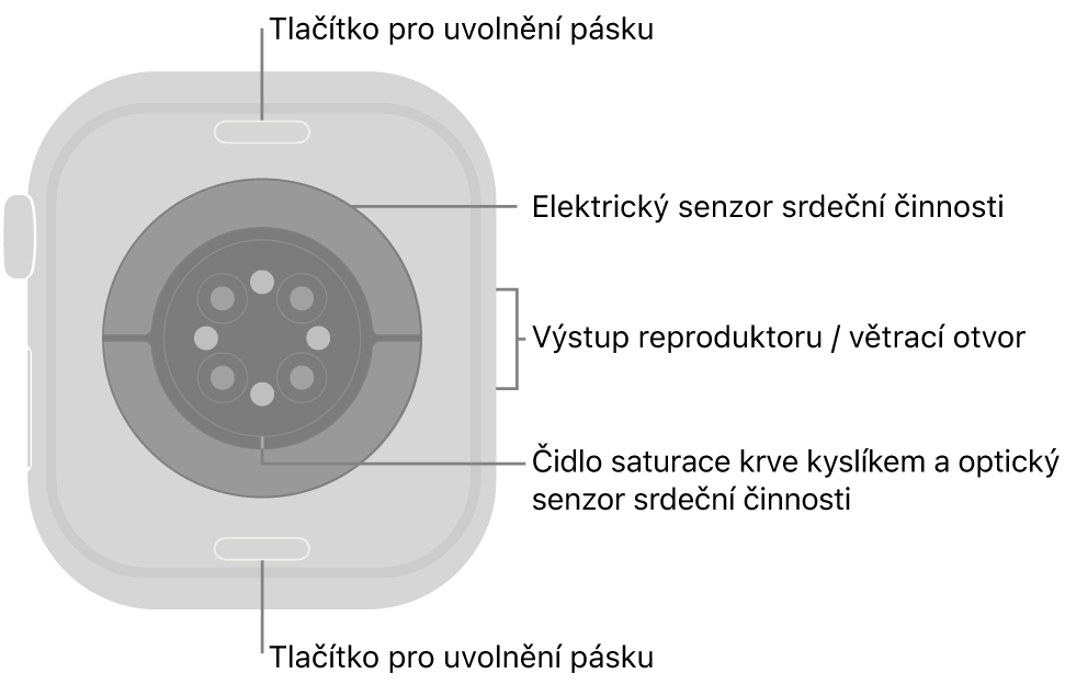 Zadní strana Apple Watch Series 10. Nahoře a dole tlačítka pro uvolnění řemínku, uprostřed elektrická čidla srdeční činnosti, optická čidla srdeční činnosti a čidla pro měření hladiny kyslíku v krvi, na boku pak reproduktor a větrací otvory.