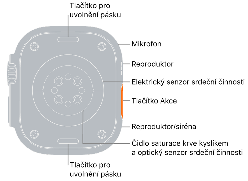 Zadní strana hodinek Apple Watch Ultra s tlačítky pro uvolnění řemínku nahoře a dole. Na boku popisky označují mikrofon, reproduktor, elektrický snímač tepové frekvence, akční tlačítko, otvor reproduktoru, ze kterého vychází zvuk sirény, čidla pro měření hladiny kyslíku v krvi a optická čidla srdeční činnosti.