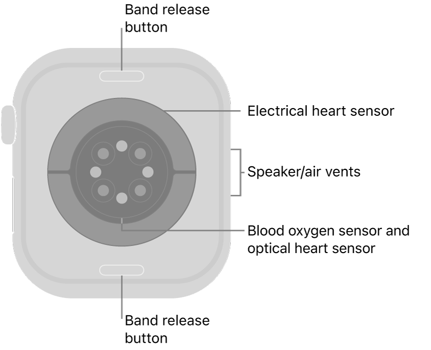 Apple watch instructions series 4 best sale