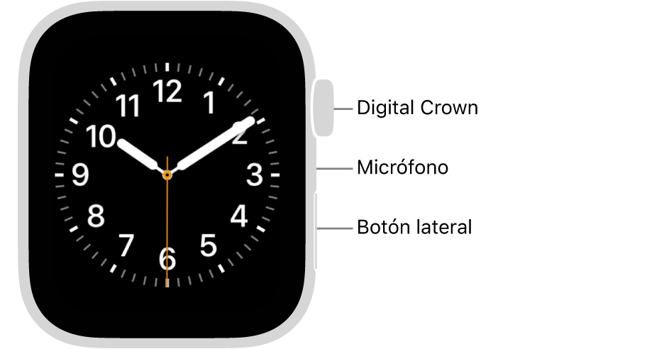 En el frente del Apple Watch Series 6, se muestra la pantalla con la carátula y, en orden descendente en un lado del reloj, se ve la Digital Crown, el micrófono y el botón lateral.