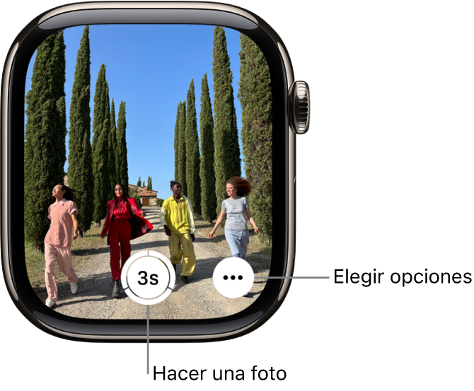 La pantalla del Apple Watch, que muestra lo que hay en el visor de la cámara del iPhone. En la parte inferior central se muestra el botón del obturador. Abajo a la derecha se muestra el botón “Más opciones”.