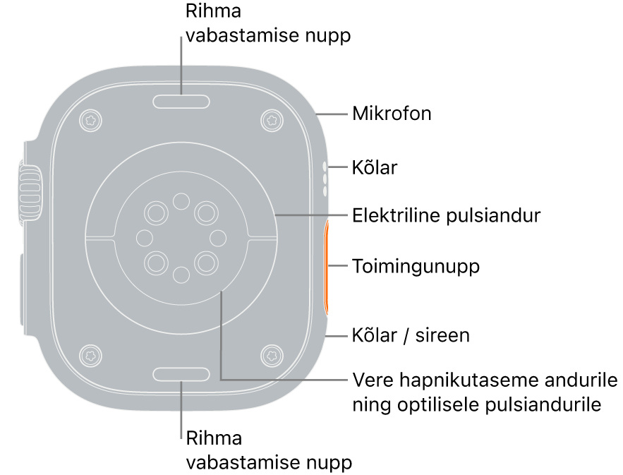 Apple Watch Ultra tagakülg, kus üleval ja all on rihma vabastusnupud. Külje peal suunavad väljaviigud mikrofonile, kõlarile, elektrilisele südameandurile, toimingunupule, sireeni kõlaripordile, verehapniku anduritele ning optilistele südameanduritele.