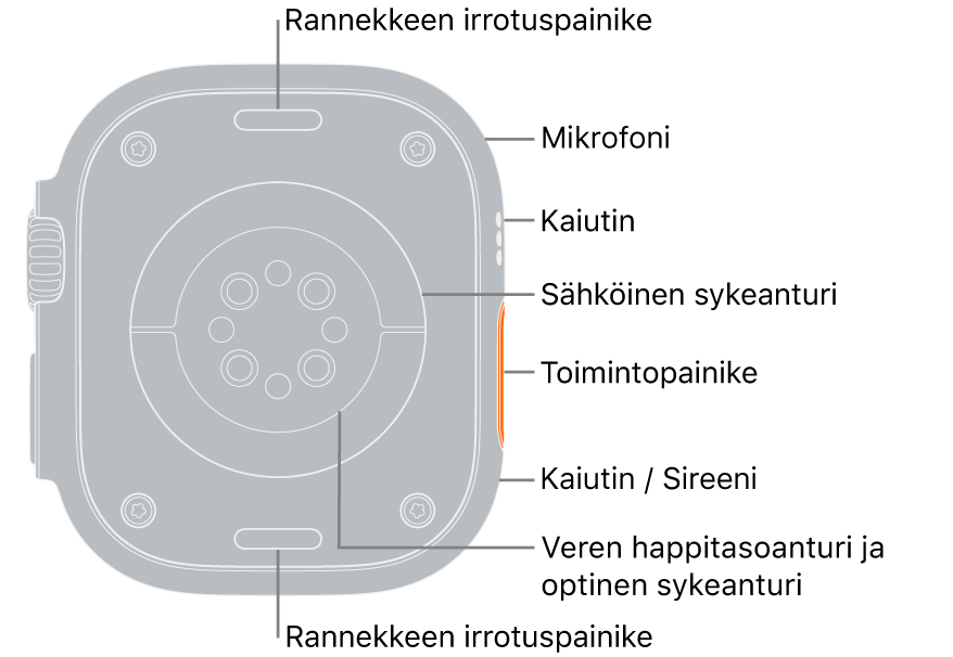 Apple Watch Ultran takaosa, jossa on rannekkeen irrotuspainikkeet ylhäällä ja alhaalla. Sivussa selitteet viittaavat mikrofoniin, kaiuttimeen, sähköiseen sykeanturiin, Toiminto-painikkeeseen, kaiutinporttiin, josta sireenn äänii kuuluu, veren happitason antureihin ja optisiin sykeantureihin.