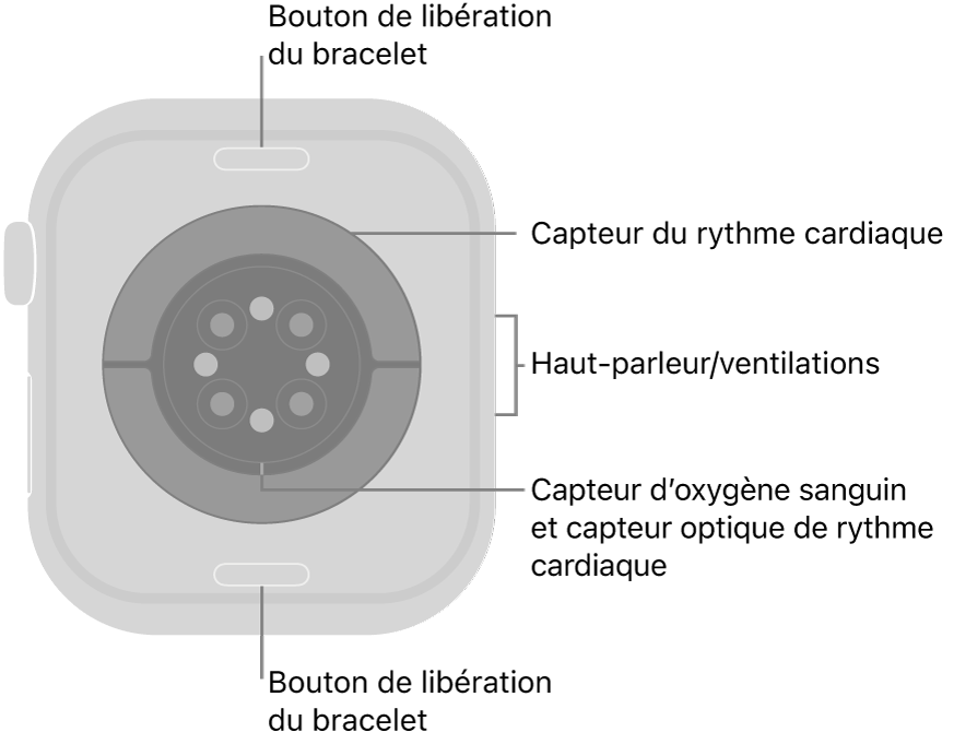 Le dos de l’Apple Watch Series 10, avec les boutons de retrait du bracelet en haut et en bas, les capteurs de fréquence cardiaque électriques et optiques et les capteurs d’oxygène sanguin au centre, et le haut-parleur et les évents sur le côté.