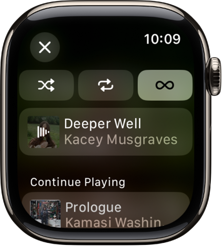 Apple Watchでミュージックを再生する - Apple サポート (日本)