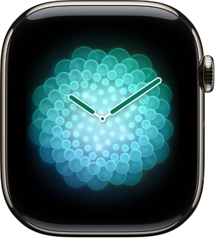 Apple Watch ciparn cas un parametri Apple Atbalsts LV