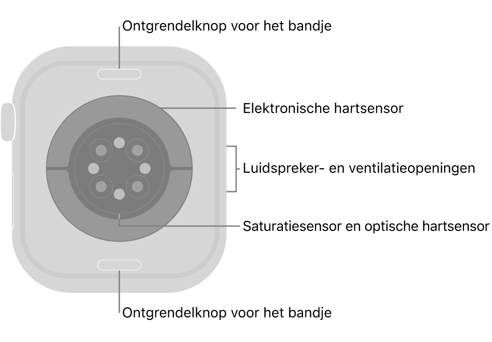 De achterkant van de Apple Watch Series 10, met aan de boven- en onderkant de ontgrendelknoppen van het bandje, in het midden de elektrische hartsensoren, de optische hartsensoren en de saturatiesensoren, en aan de zijkant de luidspreker- en ventilatieopeningen.