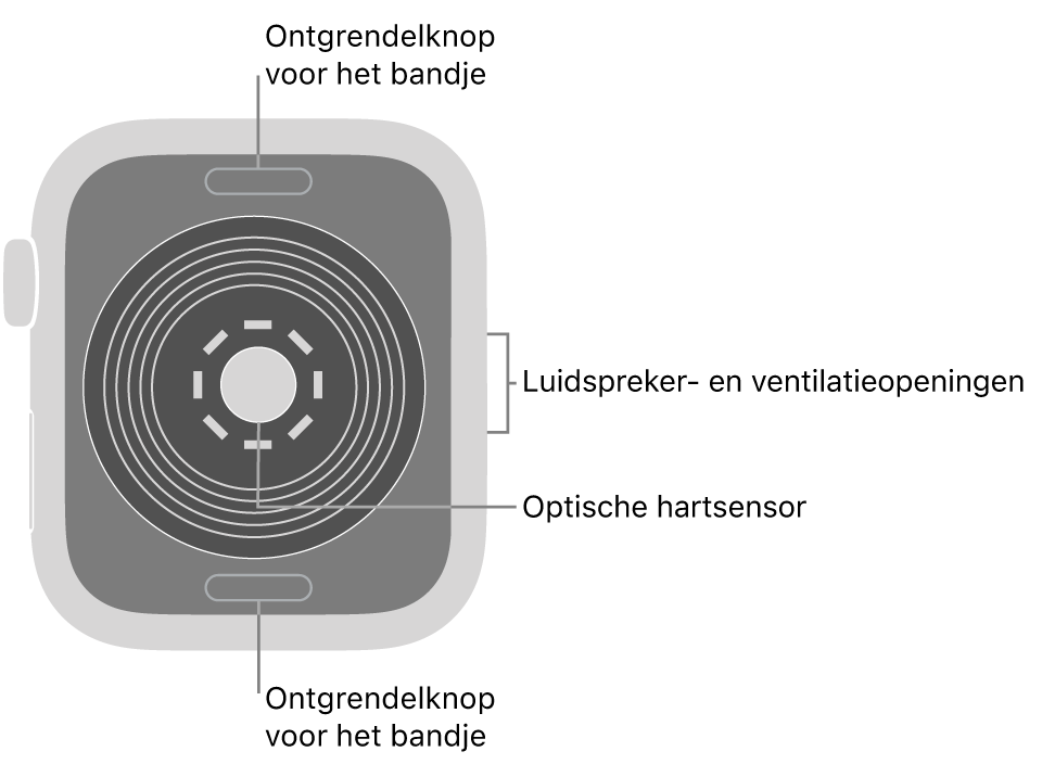 De achterkant van de Apple Watch SE, met aan de boven- en onderkant de ontgrendelknoppen van het bandje, in het midden de optische hartsensor en aan de zijkant de luidspreker- en ventilatieopeningen.