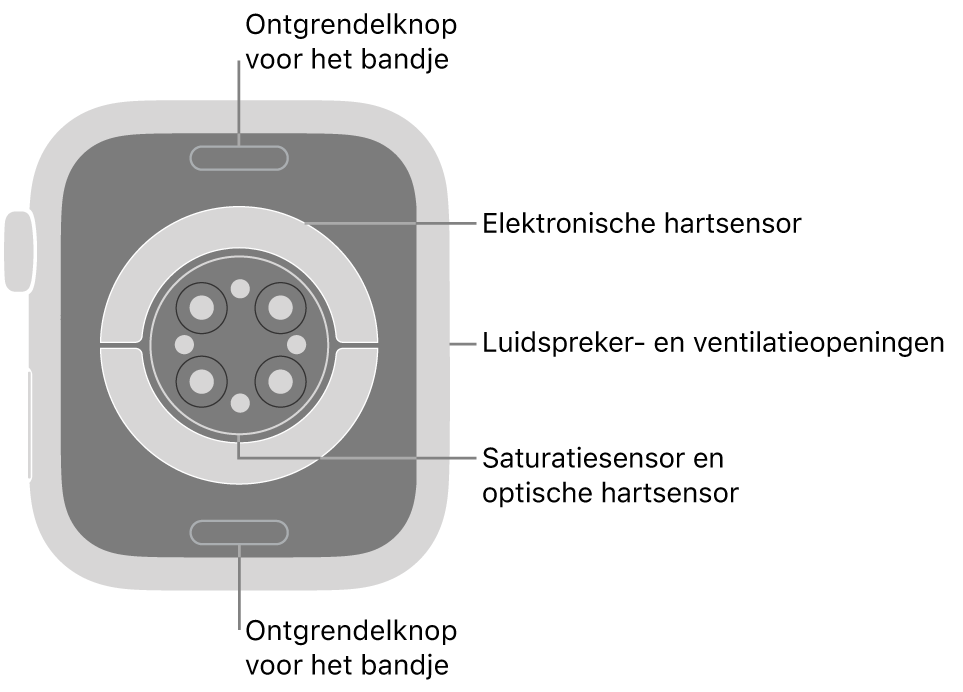 De achterkant van de Apple Watch Series 9, met aan de boven- en onderkant de ontgrendelknoppen van het bandje, in het midden de elektrische hartsensoren, de optische hartsensoren en de saturatiesensoren, en aan de zijkant de luidspreker- en ventilatieopeningen.