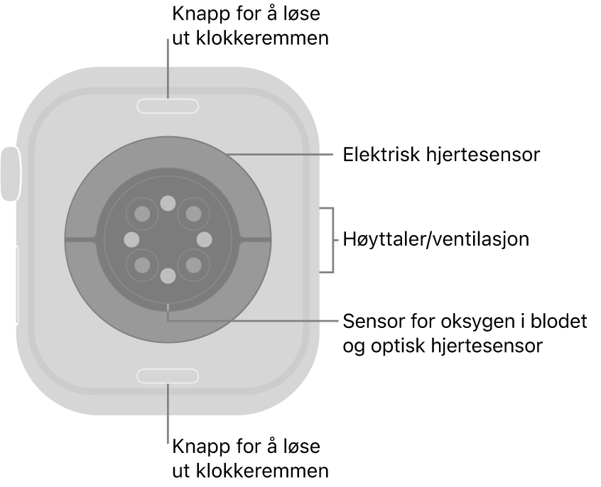 Baksiden av Apple Watch Series 10, med remutløserknappene øverst og nederst, de elektriske pulssensorene, de optiske hjertesensorene og sensorene for oksygen i blodet i midten, og høyttaleren/luftventilene på siden.