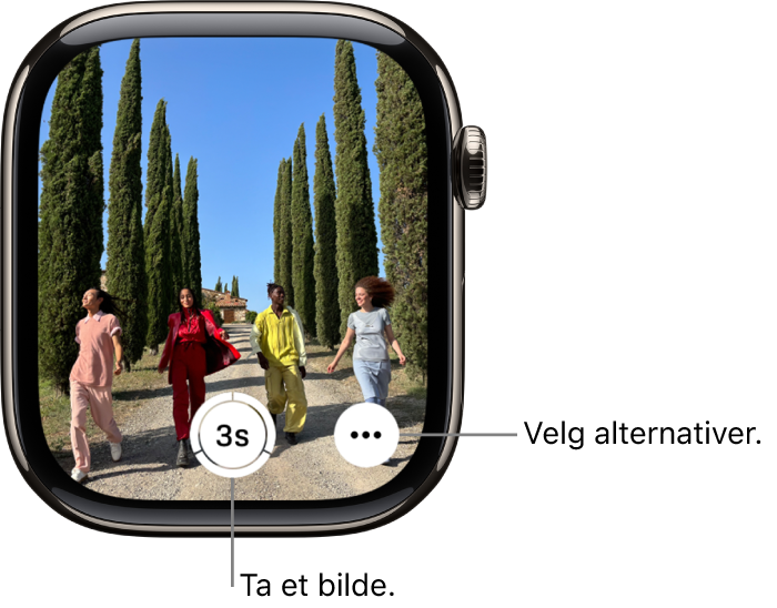 Apple Watch-skjermen som viser det som vises i kameravisningen på iPhone. Lukkerknappen er i midten nederst. Flere valg-knappen er nederst til høyre.