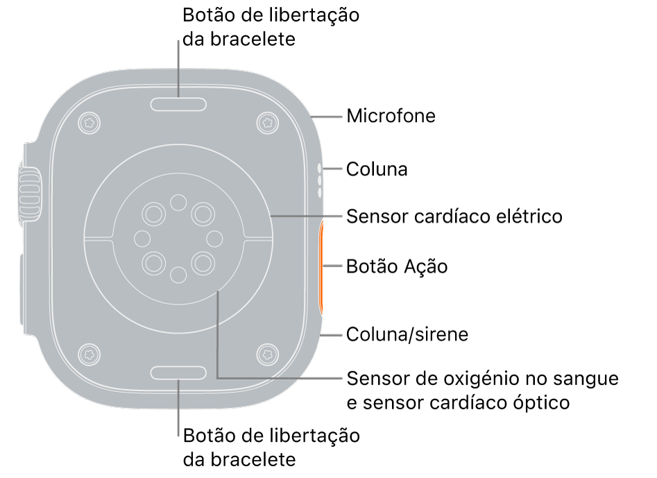 A parte traseira do Apple Watch Ultra com os botões de libertação da bracelete na parte superior e inferior. Na parte lateral, as chamadas apontam para um microfone, uma coluna, o sensor cardíaco elétrico, o botão “Ação”, uma porta para altifalante de onde é emitida a sirene, sensores de oxigénio no sangue e sensores cardíacos óticos.