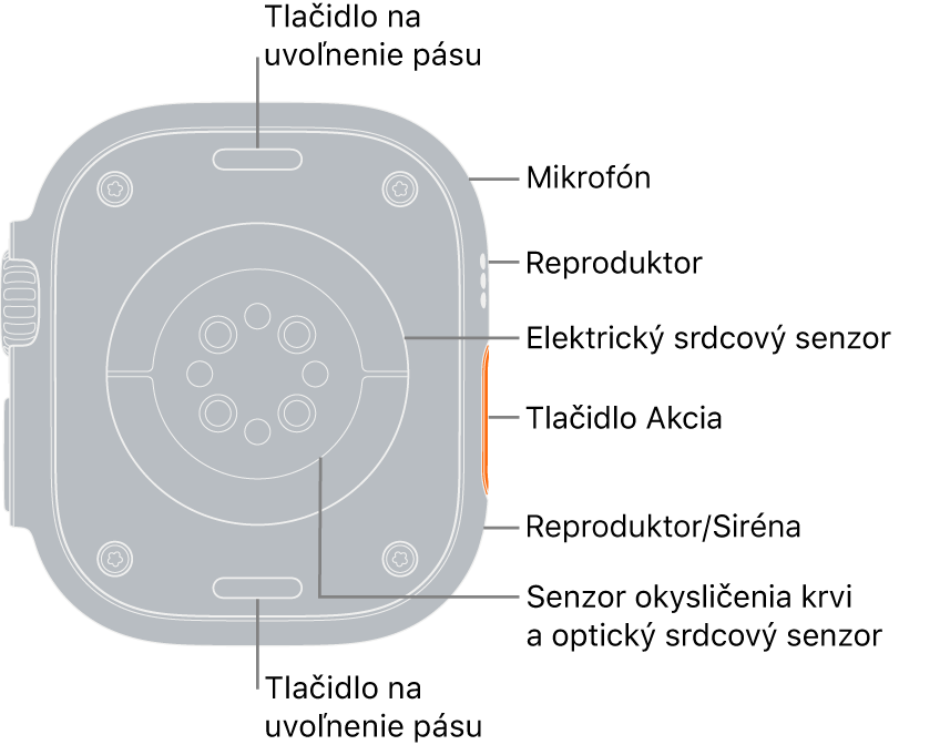 Zadná strana Apple Watch Ultra s tlačidlami na uvoľnenie remienka navrchu a naspodku. Popisy na bočnej strane ukazujú na mikrofón, reproduktor, elektrický srdcový senzor, Akčné tlačidlo, port reproduktora na vysielanie sirény, senzory saturácie kyslíkom a optické srdcové senzory.