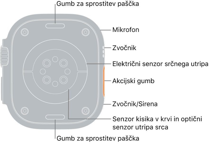 Hrbtni del ure Apple Watch Ultra z gumboma za odpenjanje paščka zgoraj in spodaj. Na strani oblačka kažeta mikrofon, zvočnik, električni senzor srčnega utripa, akcijski gumb, vrata zvočnika, prek katerega se oglaša sirena, senzorje kisika v krvi in optične senzorje srčnega utripa.