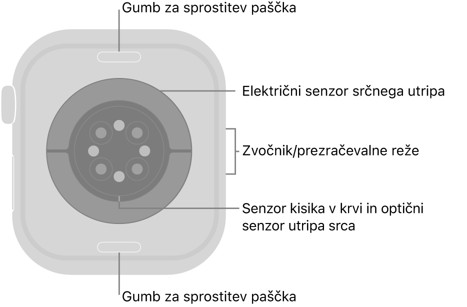 Hrbtni del ure Apple Watch Series 10 z gumboma za odpenjanje paščka zgoraj in spodaj, električnimi senzorji srčnega utripa, optičnimi senzorji srčnega utripa in senzorji kisika v krvi na sredini ter zvočnikom/zračniki ob strani.
