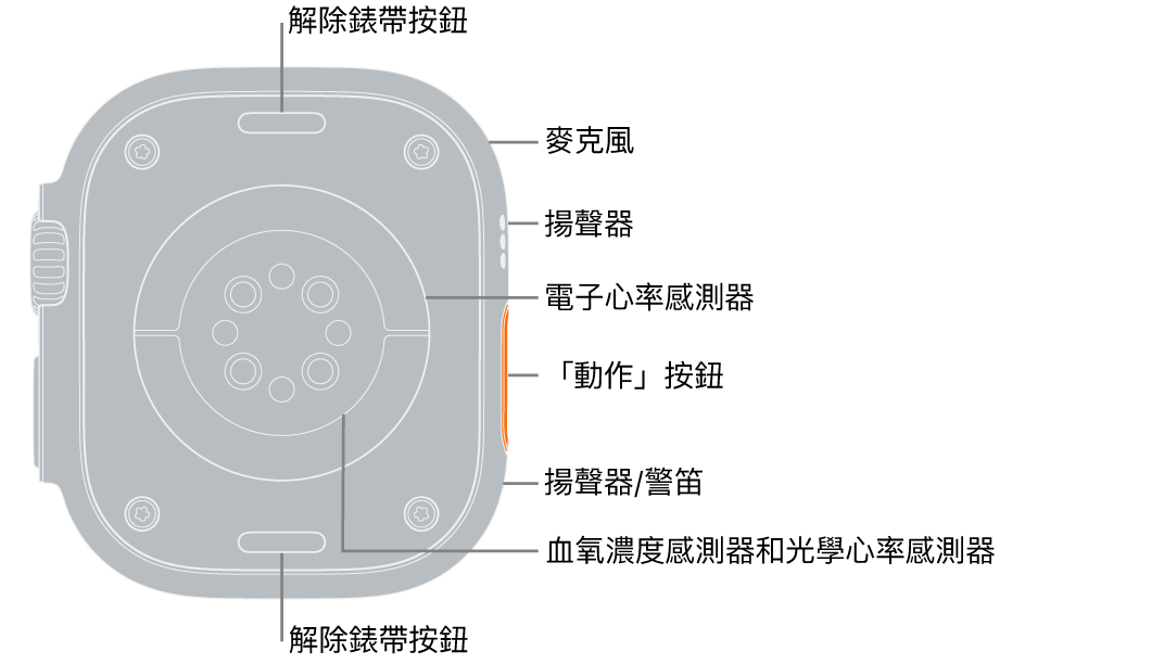 Apple Watch Ultra 背面，頂端和底部為解除錶帶按鈕。側邊說明框指向麥克風、揚聲器、電子心率感測器、「動作」按鈕、警笛發出的揚聲器連接埠、血氧濃度感測器漢光學心率感測器。