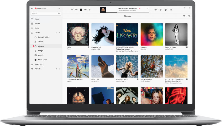 The Apple Music window with a library of albums.