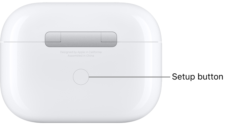 The setup button in the center of the back of the AirPods Pro charging case.