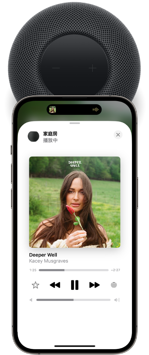 將 iPhone 靠近 HomePod 頂部。iPhone 螢幕顯示正在播放一首歌曲，且該歌曲已傳送到 HomePod。