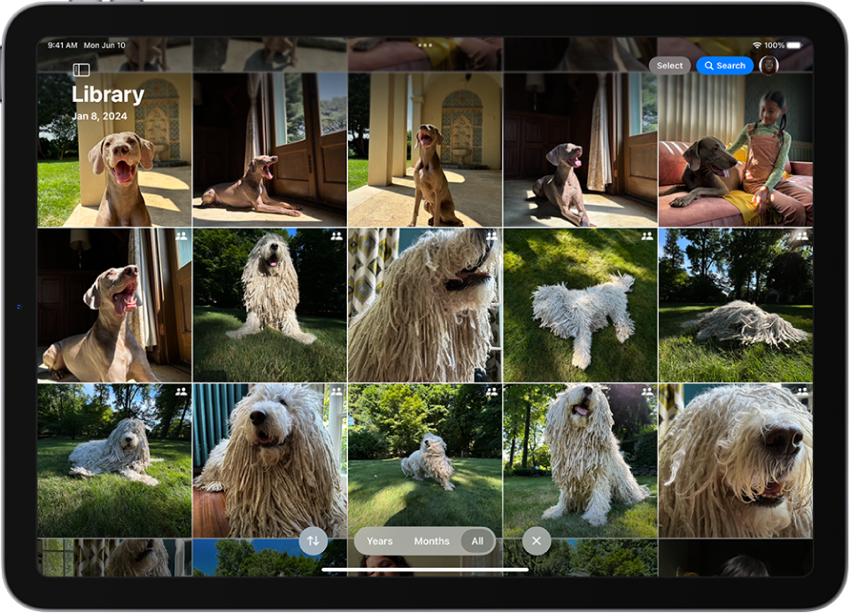 A screen showing a shared iCloud photo library with photos of pet dogs.