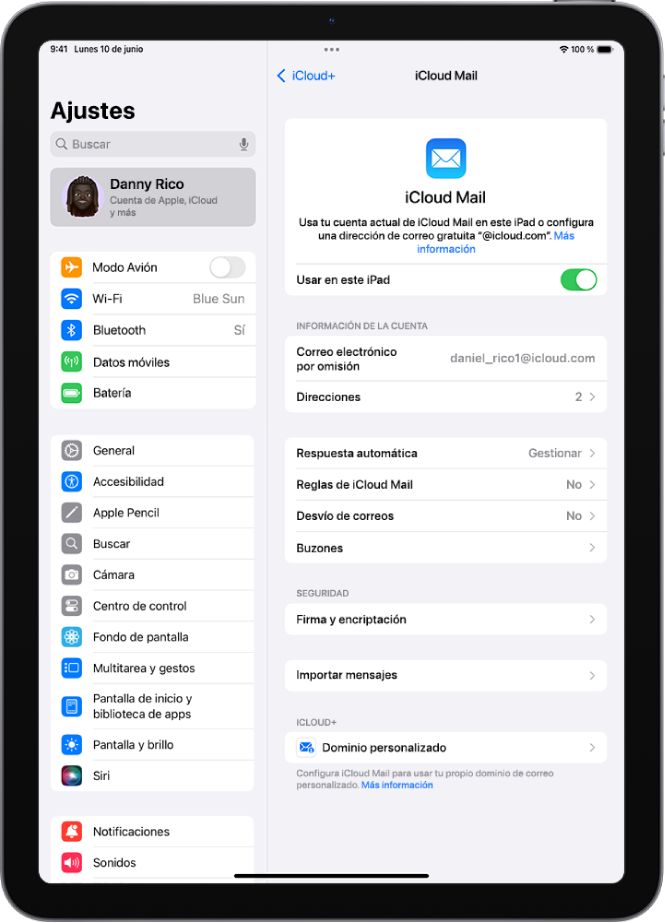 La app Ajustes está abierta en la pantalla “iCloud Mail”. En la parte inferior del menú está la opción “Dominio de correo electrónico personalizado”.