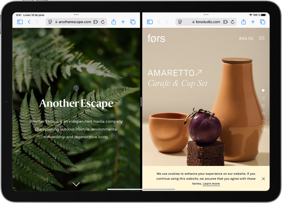 La pantalla muestra dos páginas web diferentes, separadas por un separador ajustable. En la parte superior de cada página web, está el icono de los controles multitarea.