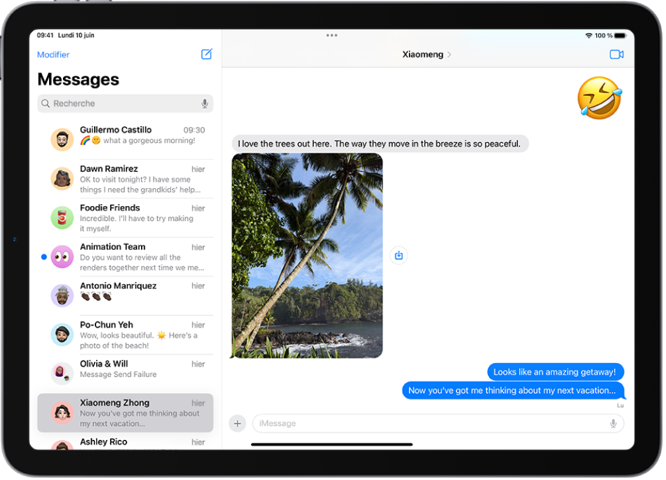 Une conversation Messages affichant des fonctionnalités d’iMessage.