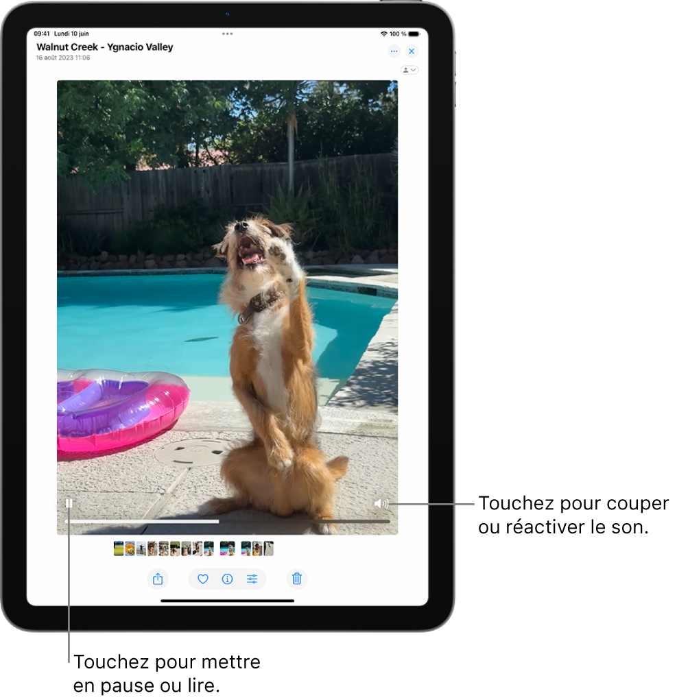 Le lecteur vidéo de l’app Photos est au centre de l’écran et une vidéo est en cours de lecture. En bas de la vidéo, de gauche à droite, se trouvent le bouton Lecture/Pause, une barre de progression et le bouton Volume/Couper le son.