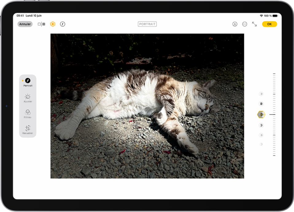 L’écran Modifier d’une photo en mode Portrait. La photo se trouve au centre de l’écran et sur le côté droit de l’écran sont les options de l’effet « Éclairage de portrait ». L’effet « Éclairage de scène » est sélectionné et un curseur permet de régler le niveau de l’effet. Sur le côté gauche de l’écran se trouvent les boutons Portrait, Ajuster, Filtres et Recadrer. Le bouton Portrait est sélectionné.