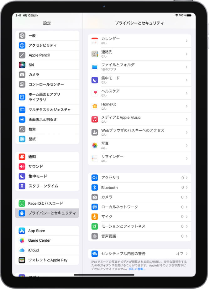 「プライバシーとセキュリティ」画面。アプリでiPadのカメラやマイクなどのパーツを使用できるかどうかを制御する設定が表示されています。