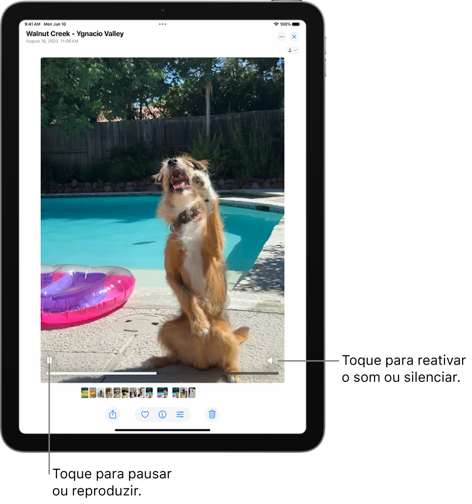 O reprodutor de vídeo do app Fotos está no centro da tela e um vídeo está sendo reproduzido. Na parte inferior do vídeo, da esquerda para a direita, estão o botão Reproduzir/Pausar, uma barra de progressão e o botão Silenciar/Volume.