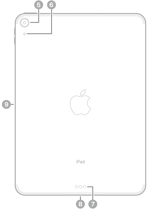 Vedere din spate a unui iPad Air de 11 inchi (M2) cu explicații pentru camera din spate în stânga sus, conectorul Smart Connector și USB-C în partea din centru jos, compartimentul SIM (Wi-Fi + Cellular) în stânga jos și conectorul magnetic pentru Apple Pencil în stânga.