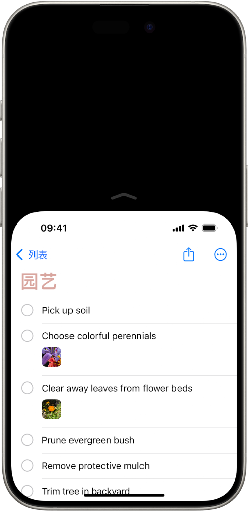 激活“便捷访问”的 iPhone 屏幕。屏幕顶部下移，让你的大拇指可轻松操作。