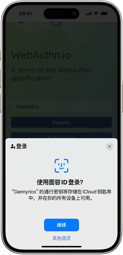 iPhone 屏幕的下半部分提供使用通行密钥登录网站的选项。它包含一个存储通行密钥的“继续”按钮，以及一个“其他选项”按钮。
