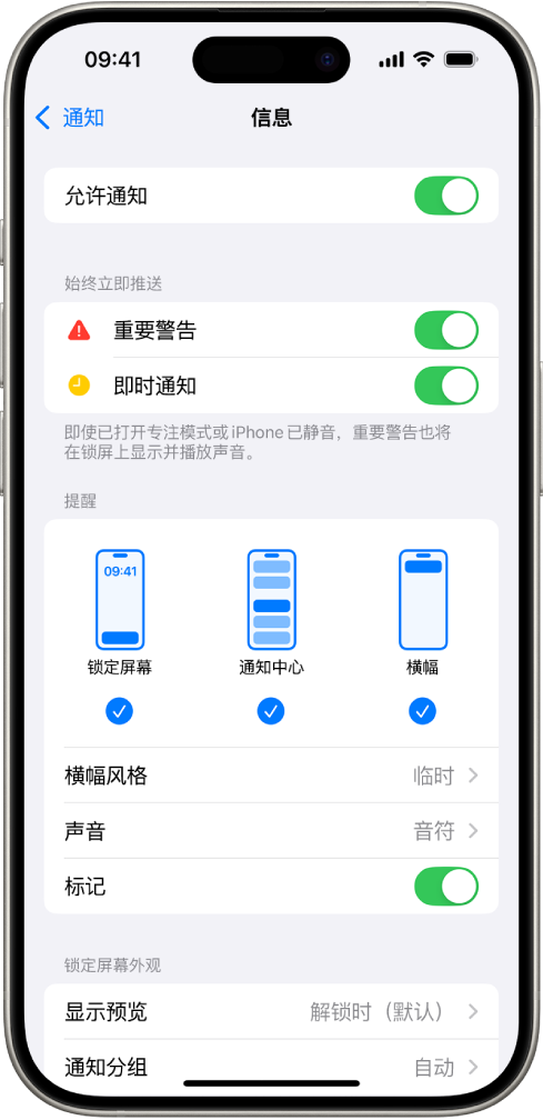 iPhone 显示针对通知和提醒的“信息”设置。