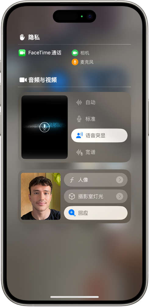 用于 FaceTime 通话的控制中心设置，显示“自动”、“标准”、“语音突显”和“宽谱”音频设置。