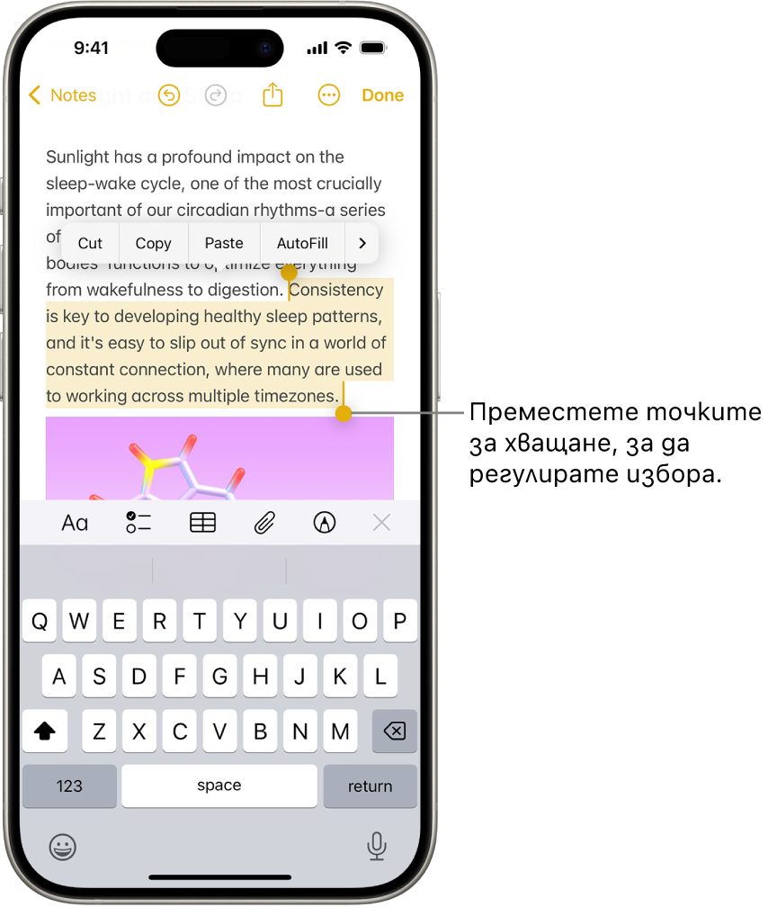 Избран е текст в бележка в приложението Бележки. Над избрания текст са бутоните Изрязване, Копиране, Поставяне и Автоматично попълване. Избраният текст е подчертан и има точки за хващане от двете страни, за да нагласите избора.