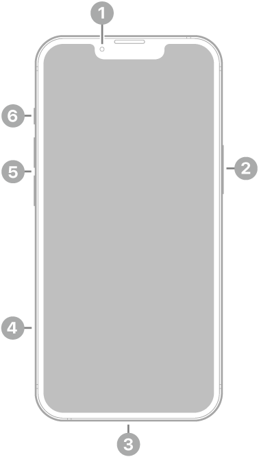 Vista frontal del iPhone 13. La cámara frontal se encuentra en la parte superior central. El botón lateral está en el lado derecho. El conector Lightning está en la parte inferior. En el lado izquierdo, de abajo a arriba, se encuentran la bandeja SIM, los botones de volumen y el conmutador de tono/silencio.