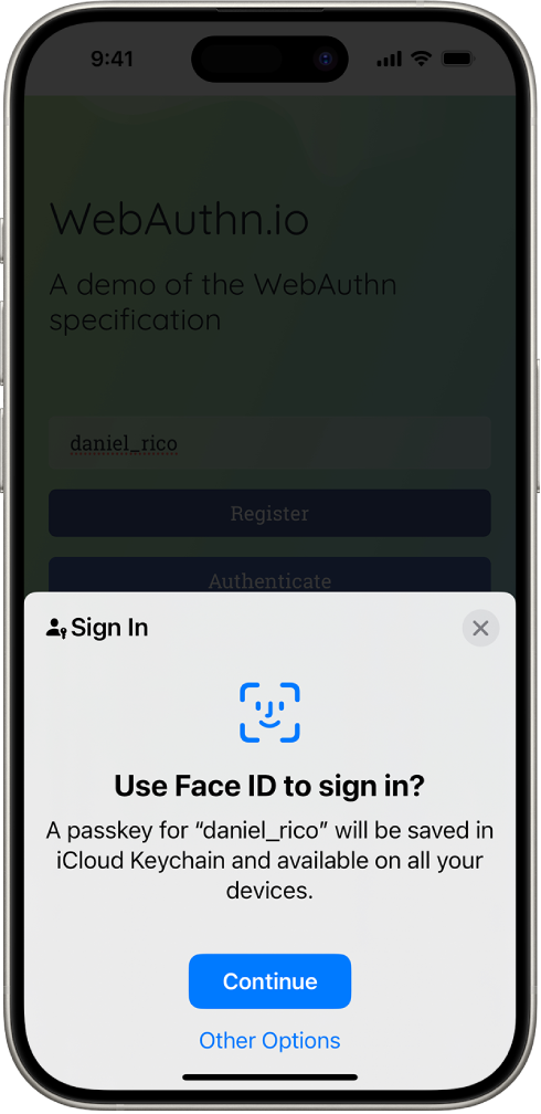 Una schermata di accesso che compare quando viene salvata una passkey per un account. Nella parte inferiore dello schermo sono presenti i pulsanti Continua e “Altre opzioni”.