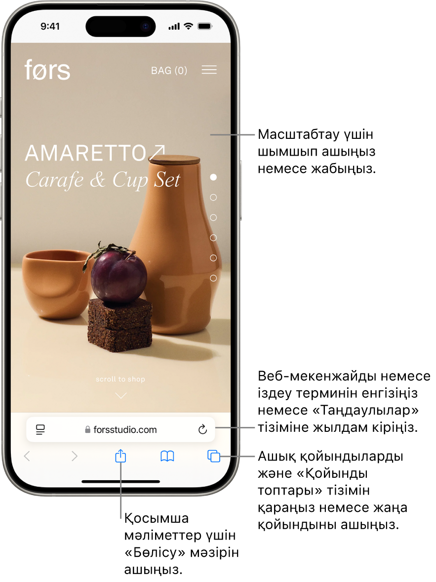 Төменгі жағында мекенжай өрісі бар Safari браузерінде ашық тұрған веб-сайт. Төменде солдан оңға қарай — «Артқа», «Көшіріп қайта жіберу», «Бөлісу», «Бетбелгілер» және «Қойындылар» қойындылары.