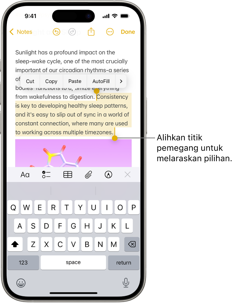 Teks dipilih dalam nota dalam app Nota. Di atas teks dipilih ialah butang Potong, Salin, Tampal dan Isi Auto. Teks yang dipilih diserlahkan, dengan titik cengkam untuk melaraskan pilihan di kedua-dua penghujung.