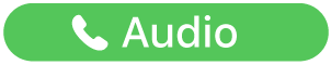 the Audio Call button