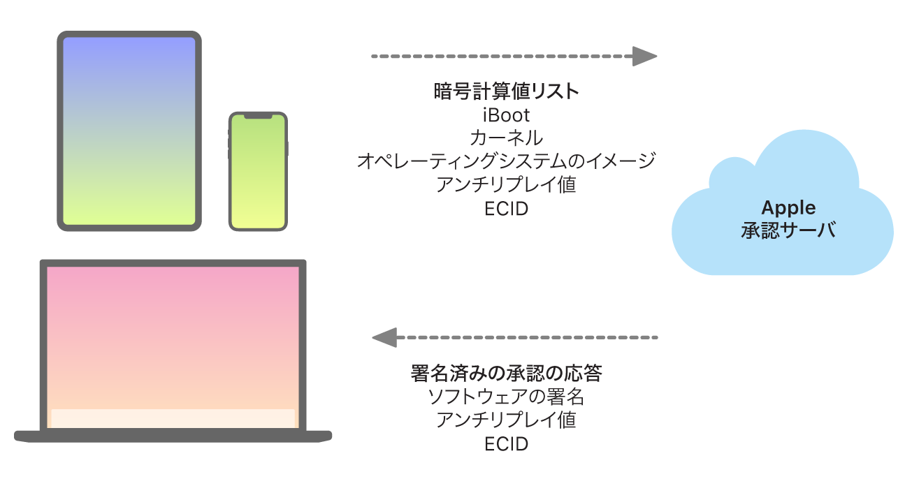 AppleデバイスがAppleの認証サーバに情報を送信し、次にAppleの認証サーバが応答を送り返す方法を示す図。