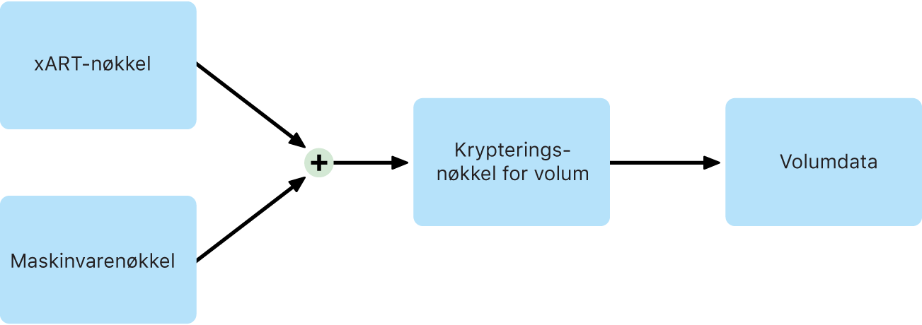 Prosessen for kryptering av det interne volumet når FileVault er slått av i macOS.