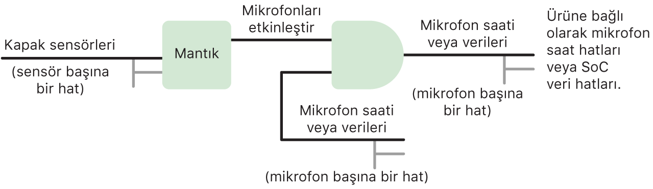 2020 yılından itibaren iPad modellerindeki ve bazı MacBook Pro ve MacBook Air modellerindeki mikrofon korumalarında bulunan donanım devresini gösteren bir devre şeması.
